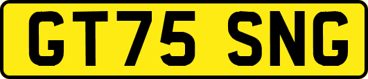 GT75SNG