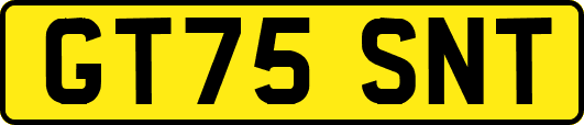 GT75SNT