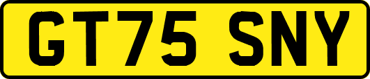 GT75SNY