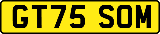 GT75SOM