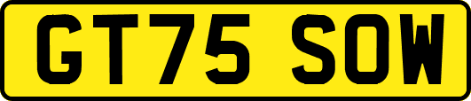 GT75SOW