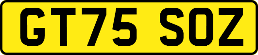 GT75SOZ