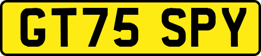 GT75SPY