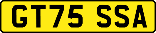 GT75SSA