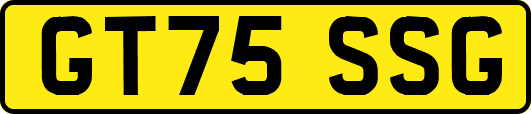 GT75SSG