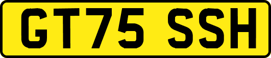 GT75SSH