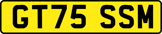 GT75SSM