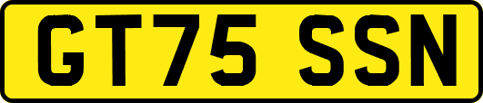 GT75SSN