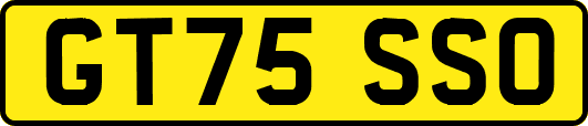 GT75SSO