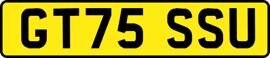 GT75SSU