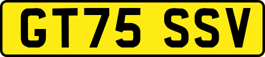 GT75SSV