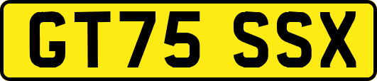 GT75SSX