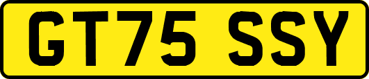GT75SSY