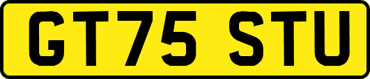 GT75STU
