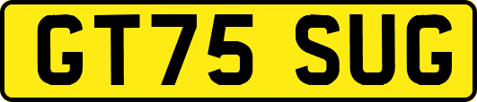 GT75SUG