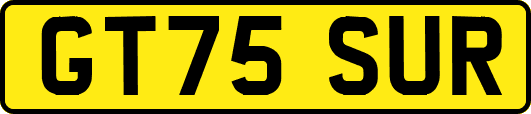 GT75SUR