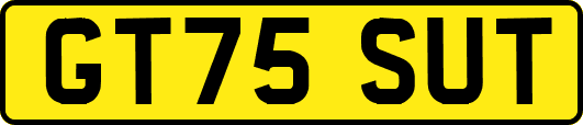 GT75SUT