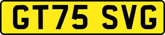 GT75SVG