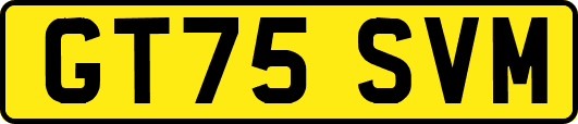 GT75SVM