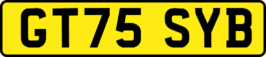 GT75SYB