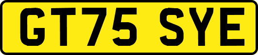 GT75SYE