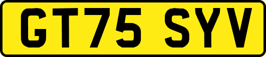 GT75SYV