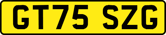 GT75SZG
