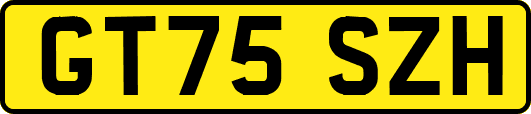 GT75SZH