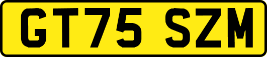 GT75SZM
