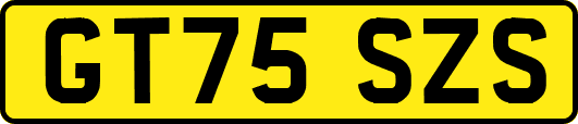 GT75SZS