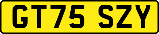 GT75SZY