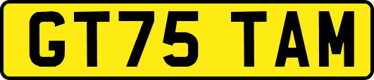 GT75TAM