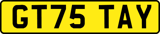 GT75TAY