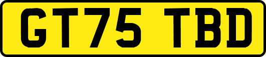GT75TBD