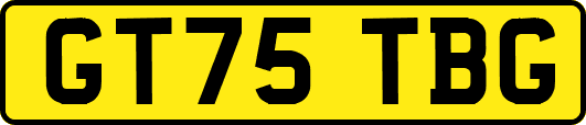 GT75TBG