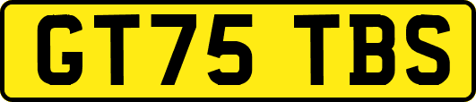 GT75TBS