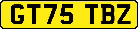 GT75TBZ