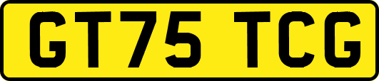 GT75TCG