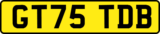 GT75TDB