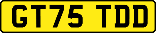 GT75TDD