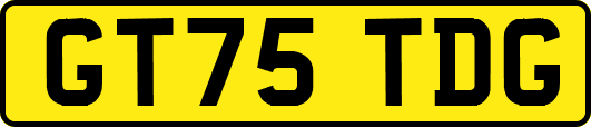 GT75TDG