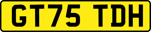 GT75TDH