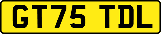 GT75TDL