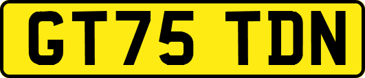 GT75TDN