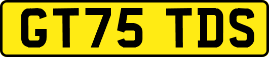 GT75TDS