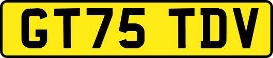 GT75TDV