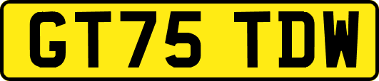 GT75TDW