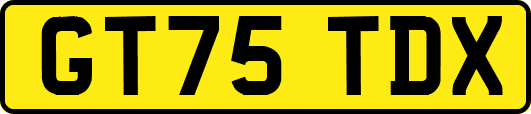 GT75TDX