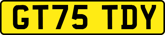 GT75TDY