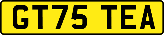 GT75TEA